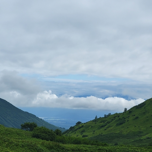 Meet your Posher, Elizabeth - Picture 8 of 10